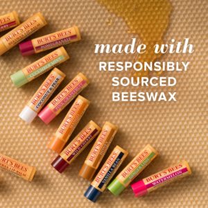 Burt's Bees Moisturising Hemp Lip Balm 4.25g